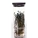 Progressive International Herb Keeper
