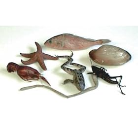 Set of Specimens by Chemistry Sets