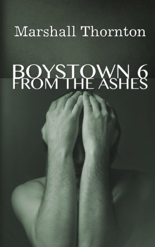 Boystown 6: From The Ashes (Boystown Mysteries) (Volume 6), by Marshall Thornton