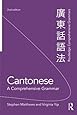 Cantonese: A Comprehensive Grammar (Routledge Comprehensive Grammars)