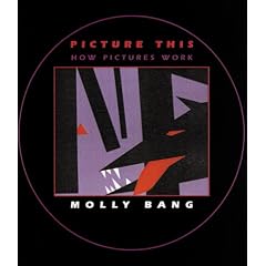 Picture This by Molly Bang