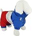 Dog Racer Dog Clothing by Kakadu Pet, Small, 12", Blue