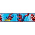 Roommates Amazing Spiderman Border