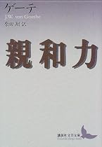 親和力 (講談社文芸文庫)