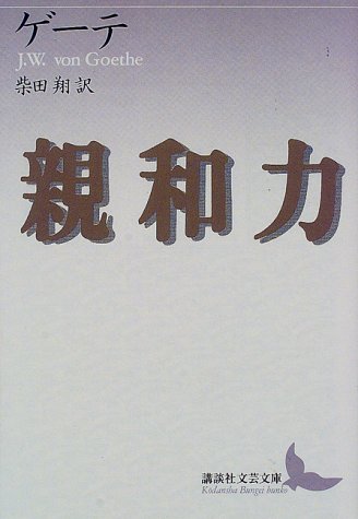 親和力 (講談社文芸文庫)