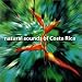 Search : Natural Sounds of Costa Rica