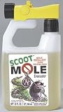 QT RTU Scoot Mole