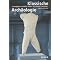 B�cherbrett Grundstudium Arch�ologie