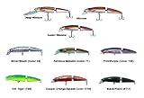 Challenger Jointed Minnow Series Lures Color: Silver/Black (#34); Size: Minnow (MG-010)