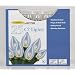 Celebrations Lighting Indoor/Outdoor 25 C7 String Light Set, Clear Bulbs