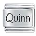 Jewelry : Name Quinn Italian Charms Bracelet Link