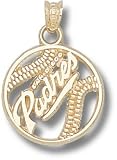 San Diego New Padres Pierced Bball Charm/Pendant -14K/10K, Stainless Steel or Gold Plated
