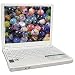 Averatec AMD Sempron 3000+ 512MB 80GB DVD±RW 12.1" XP