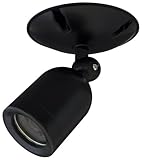 Net Media NM-VIDCAM-CB Indoor/Outdoor CAM Color Video Camera (Black)