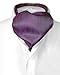 Antonio Ricci ASCOT Solid PURPLE Ribbed Pattern Color Cravat Men's Neck Tie