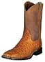 Ariat 2472 Men's Blackwater Full-Quill Ostrich Antique Tan/Distressed Brown 9.5 D