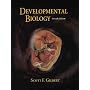 Developmental Biology