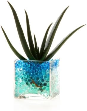 Aqua Gems Liquid Marbles - Vase Filler for Wedding and Party Centerpiece AquaGems (10 Gram, Sunstone Orange)