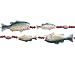 9' Wooden Beaded Fishing Christmas Garland #C3302