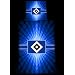 HSV Fanartikel Bettw�sche Linon Wappen Tunnel
