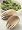 Nigella Lawson Living Kitchen Serving Hands Pair Beech