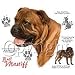 Bull Mastiff Adult T-Shirt