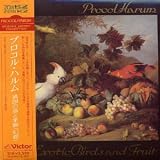 Exotic Birds and Fruit