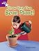 Grow Your Own Bean Plant: Purple Level (STARQUEST)