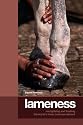 Lameness: Recognizing and Treating the Horse's Most Common Ailment