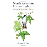 north american hummingbirds an identification guide