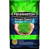 Pennington Seed Inc 118500 Smart Seed Tall Fescue