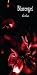 Blutengel - Live Lines von Blutengel - alle Infos
