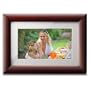 Viewsonic'S VFA724W-10 7-Inch High Resolution Digital Photo Frame (Cherry Wood Frame)