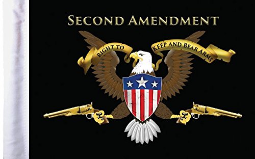 PRO PAD INCFLG-2AMND Sleeved 6 by 9-inch SECOND AMENDMENT Motorcycle Flag with 1/2" Sleeve, Fits 3/8" Flag Mount Pole ** Made in The USA **