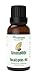 Eucalyptus Essential Oil - AromaOils 1 oz (30 ml) - Best 100% Pure Therapeutic Grade - Used now for Aromatherapy, Natural Home Cleaning Additive, and as part of your Natural First Aid Kit
