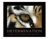 Determination - Eye of the Tiger Photographic Poster Print by