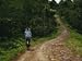 A Man on a Bicycle Pedals Down a Dirt Road Through a Rural Plantation Artists Photographic Poster Print, 18x24