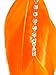 One New Pair of Bright Orange Three Feather Earrings with Rinestones