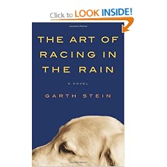 The Art of Racing in the Rain