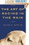 The Art of Racing in the Rain