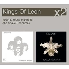 Youth and Young Manhood/Aha Shake Heartbreak