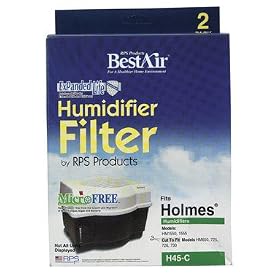 Holmes HWF45 Replacement Filter
