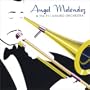 Angel Melendez & The 911 Mambo Orchestra