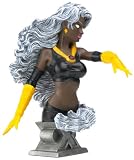  : Ultimate Storm Bust