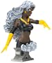 Ultimate Storm Bust
