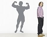 Best Quality Vinyl Wall Sticker Decals - Bodybuilder ( Size: 16in x 28in - Color: sage ) - No: 1148