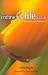 Embracing Life Again: Finding God Faithful in the Midst of Loss