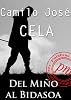 Del Mi�o al Bidasoa