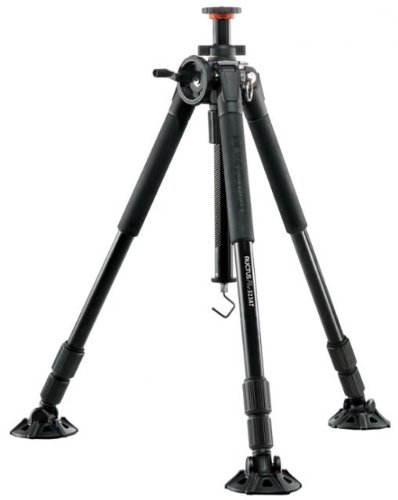 price Vanguard 339199