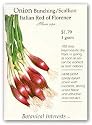 Botanical Interests 0147 Onion Bunching Italian Red Seed Packet